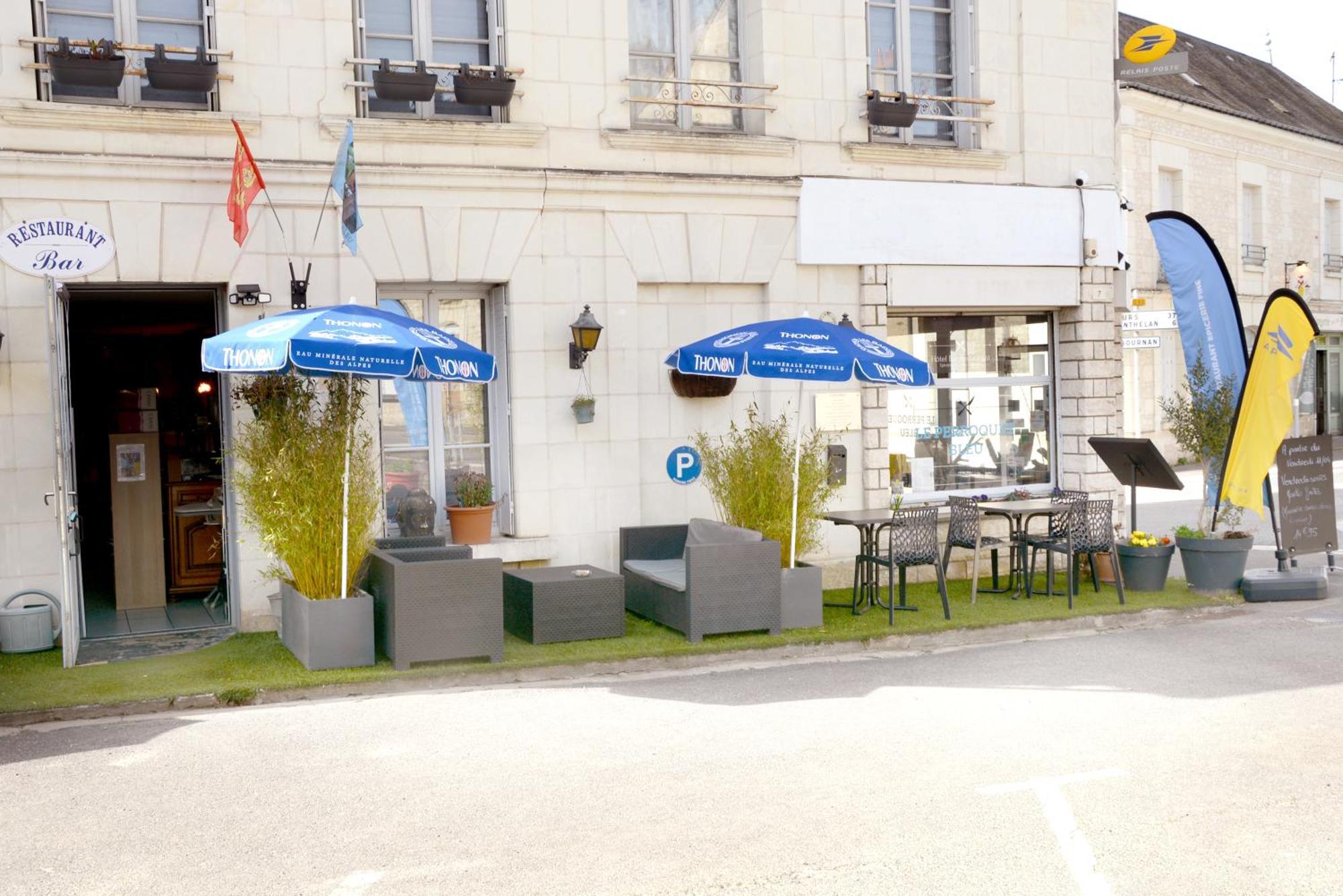 Le Perroquet Bleu Hotel La Chapelle-Blanche-Saint-Martin Luaran gambar